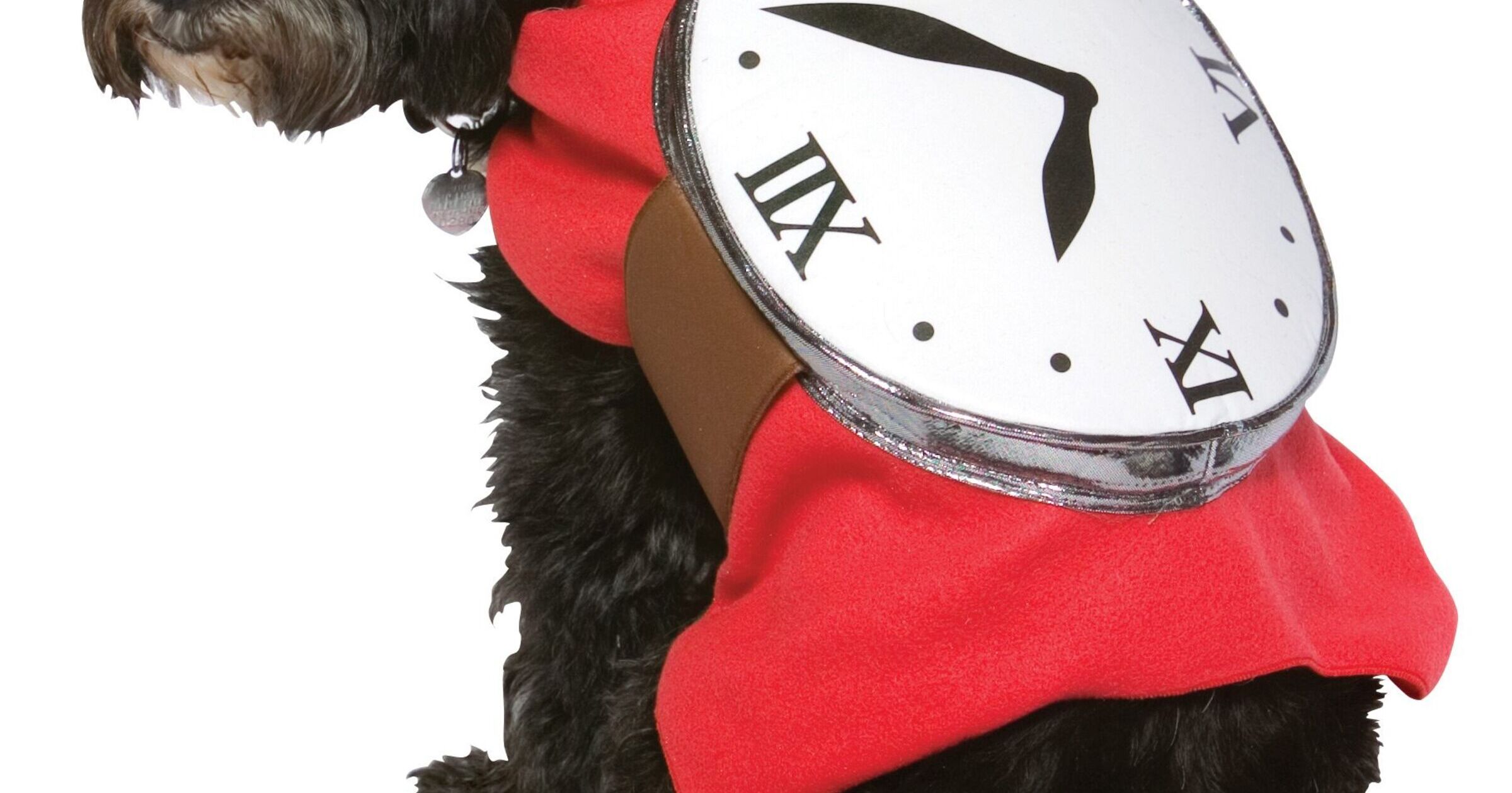 Blackburn Vet Opening Times