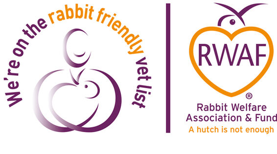 daisy street veterinary centre blackburn is rabbit friendly. vet blackburn