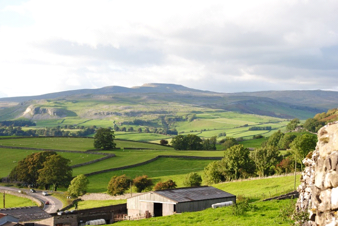 The family farm in the Dales – summer, with Ingleborough in the background.