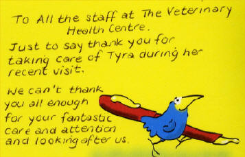 To all the staff at the Veterinary Health Centre. Just to say thank you for taking care...
