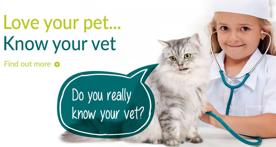 love your pet...Know your vet