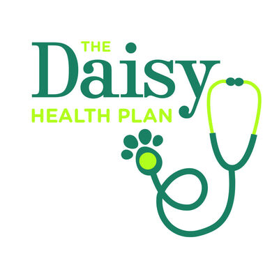 Daisy health Plan logo Stethascope