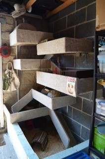 guinea pig homes indoor