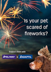 Fireworks web banner portrait (Aug 2015)_pdf