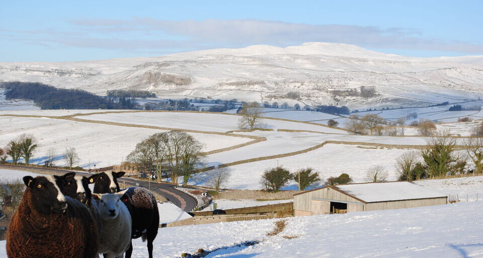 Rawlinshaw Farm