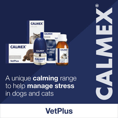 CALMEX_1080_Social Campaign_MZONE21