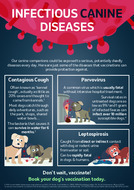 dont_wait_vaccinate_a5_flyer_-_high_res (1)