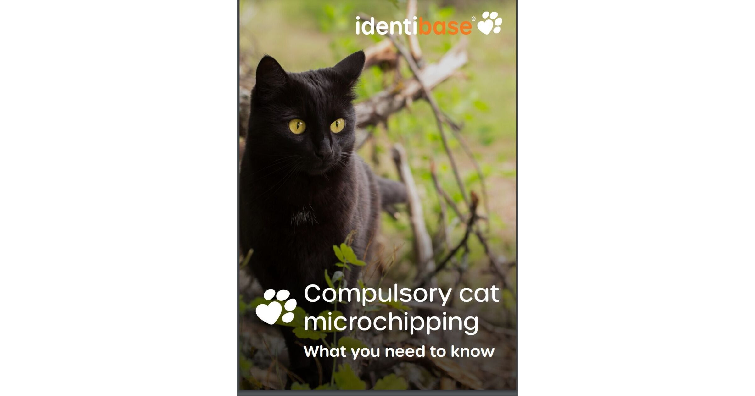 Compulsory cat microchipping