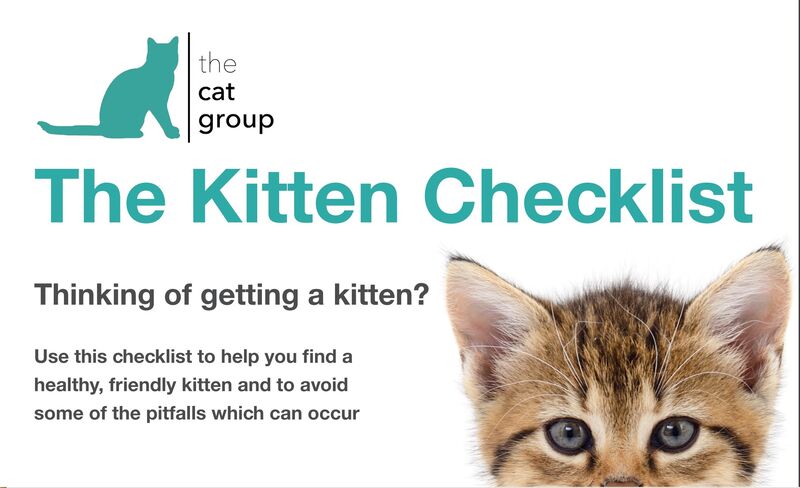 Kitten Check List picture