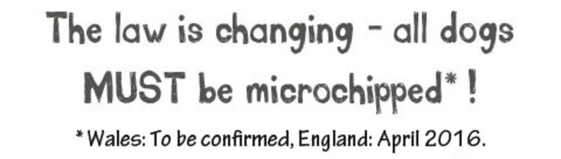 The law is changing – all dogs MUST be microchipped*! Wales: To be confirmed, England: April 2016