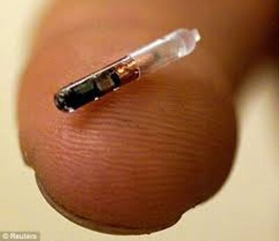 A tiny microchip