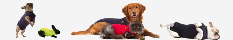 Medical Pet Shirts