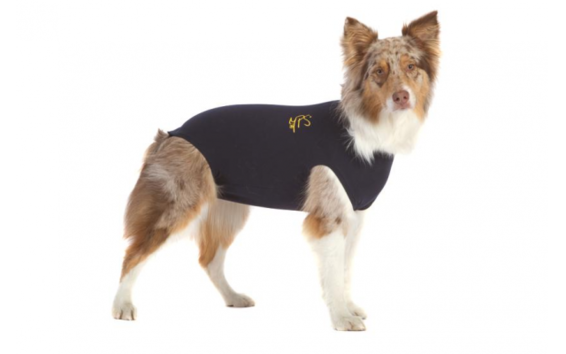 Advantages Medical Pet Shirts