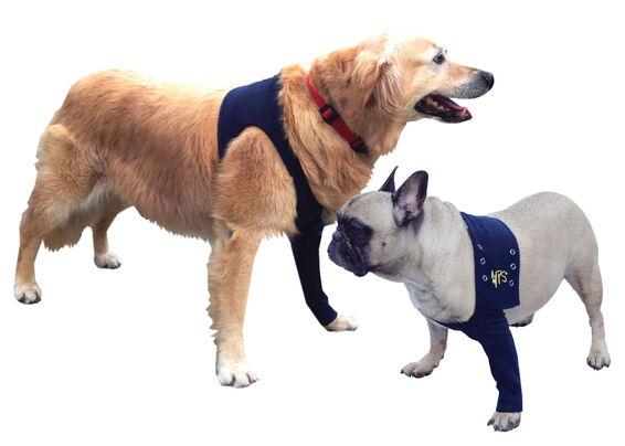 Advantages Medical Pet Shirts