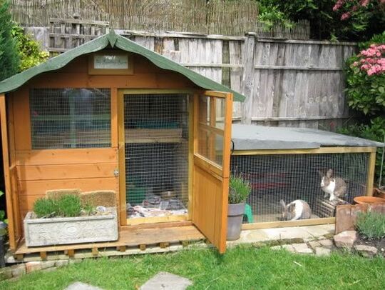 rabbit hutch