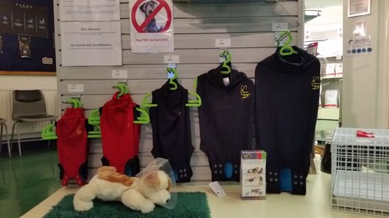 Medical Pet Shirts from Daisy Street Vet, Blackburn, Lancashire