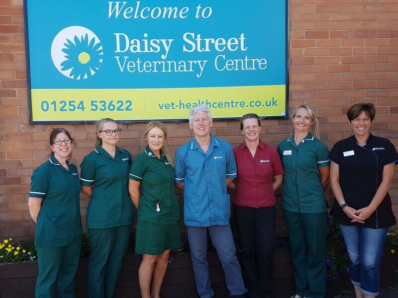 Vet in Blackburn. Blackburn's premier Veterinary Surgery in Lancashire. Daisy street veterinary centre blackburn. vet blackburn